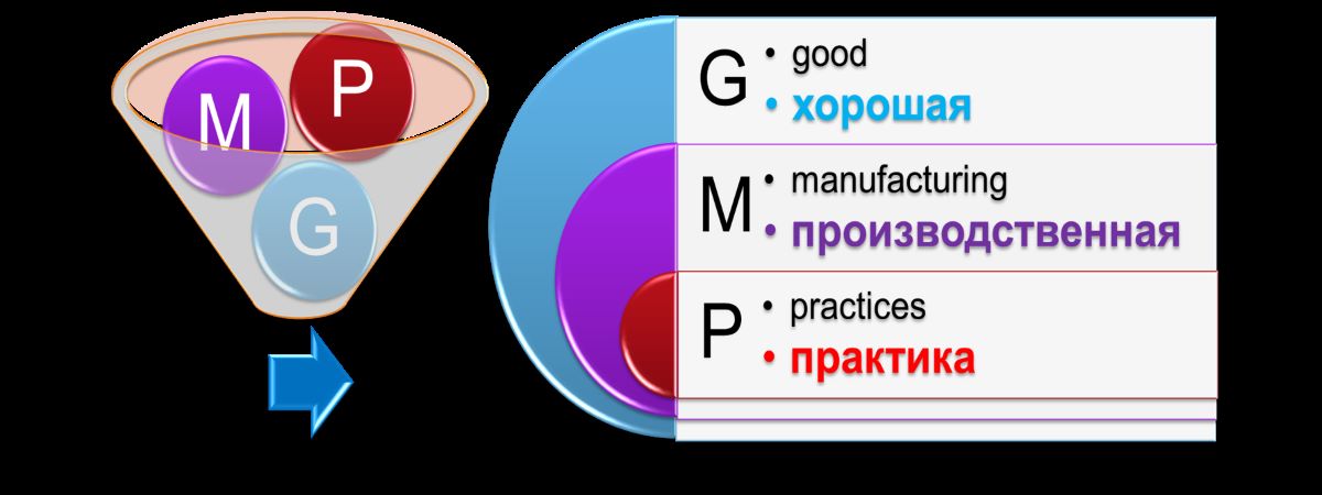 GMP Standards, FSR Article